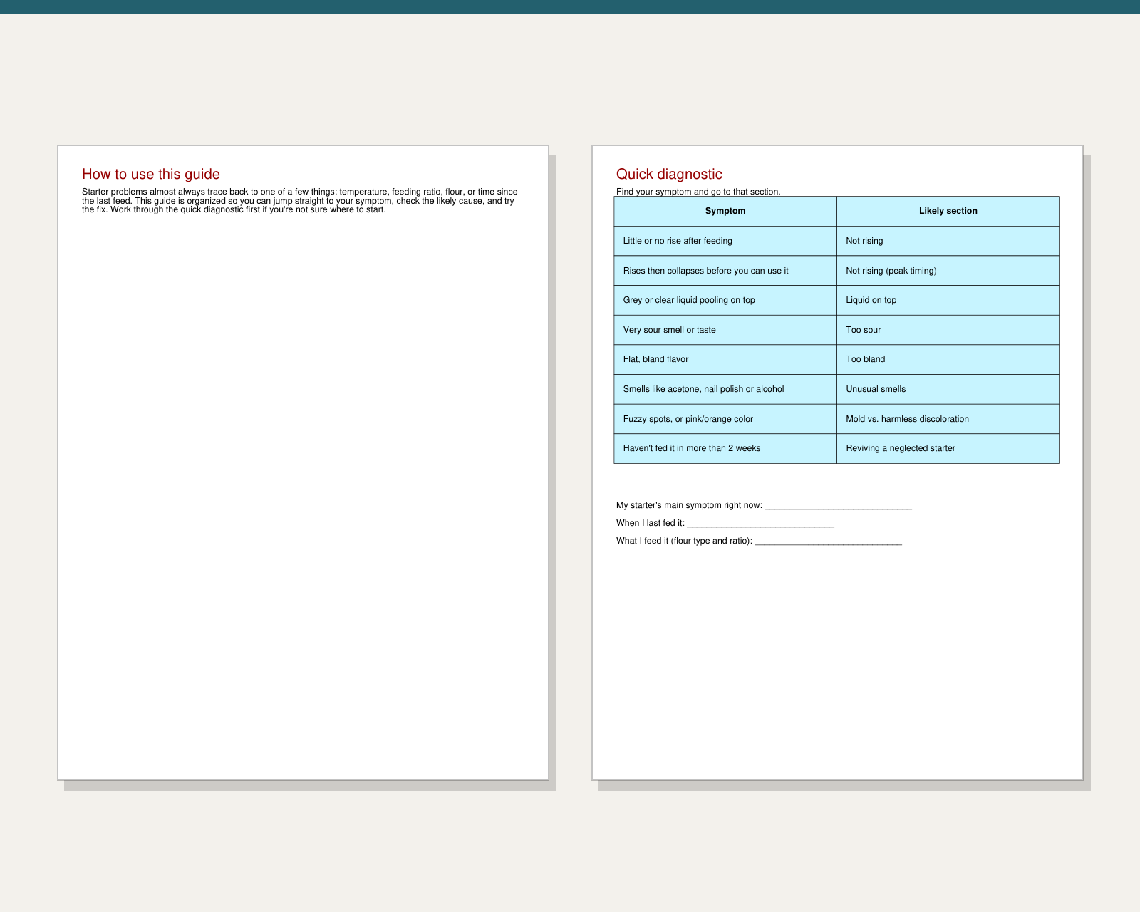 Inside pages of Sourdough Starter Troubleshooting Guide