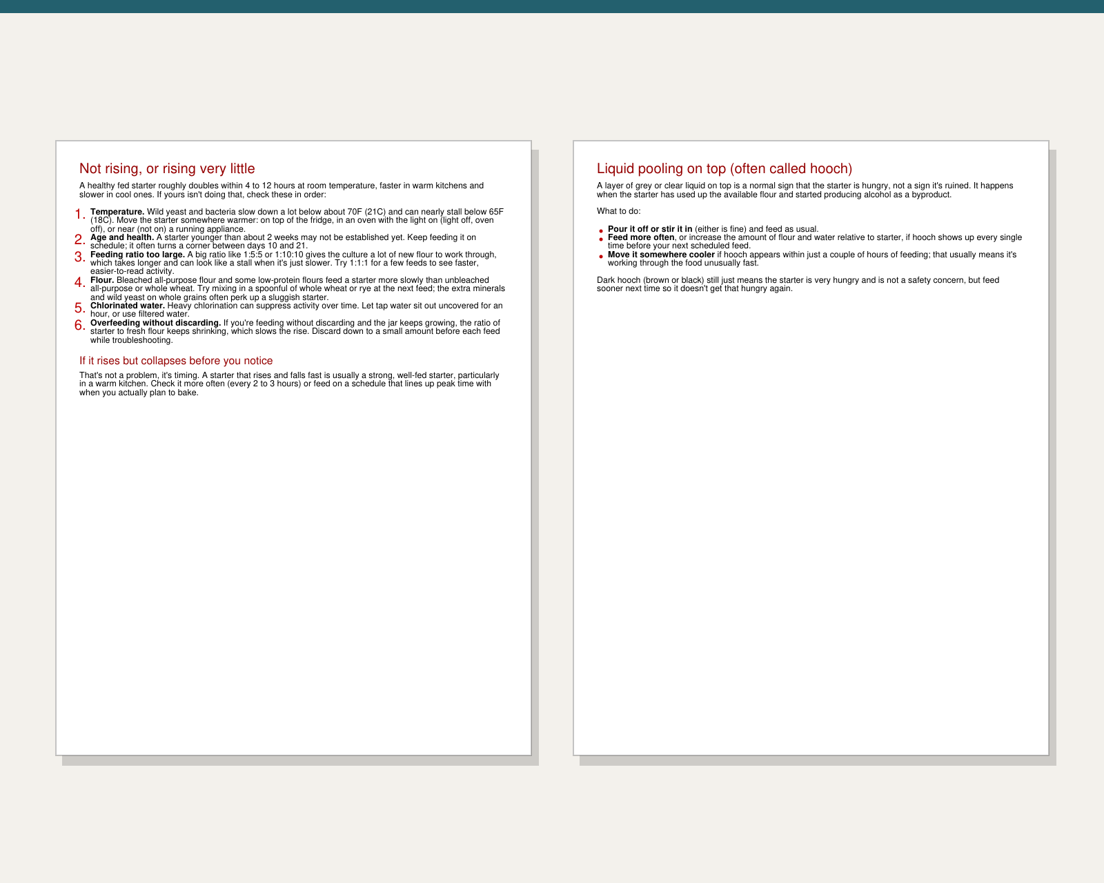 Inside pages of Sourdough Starter Troubleshooting Guide