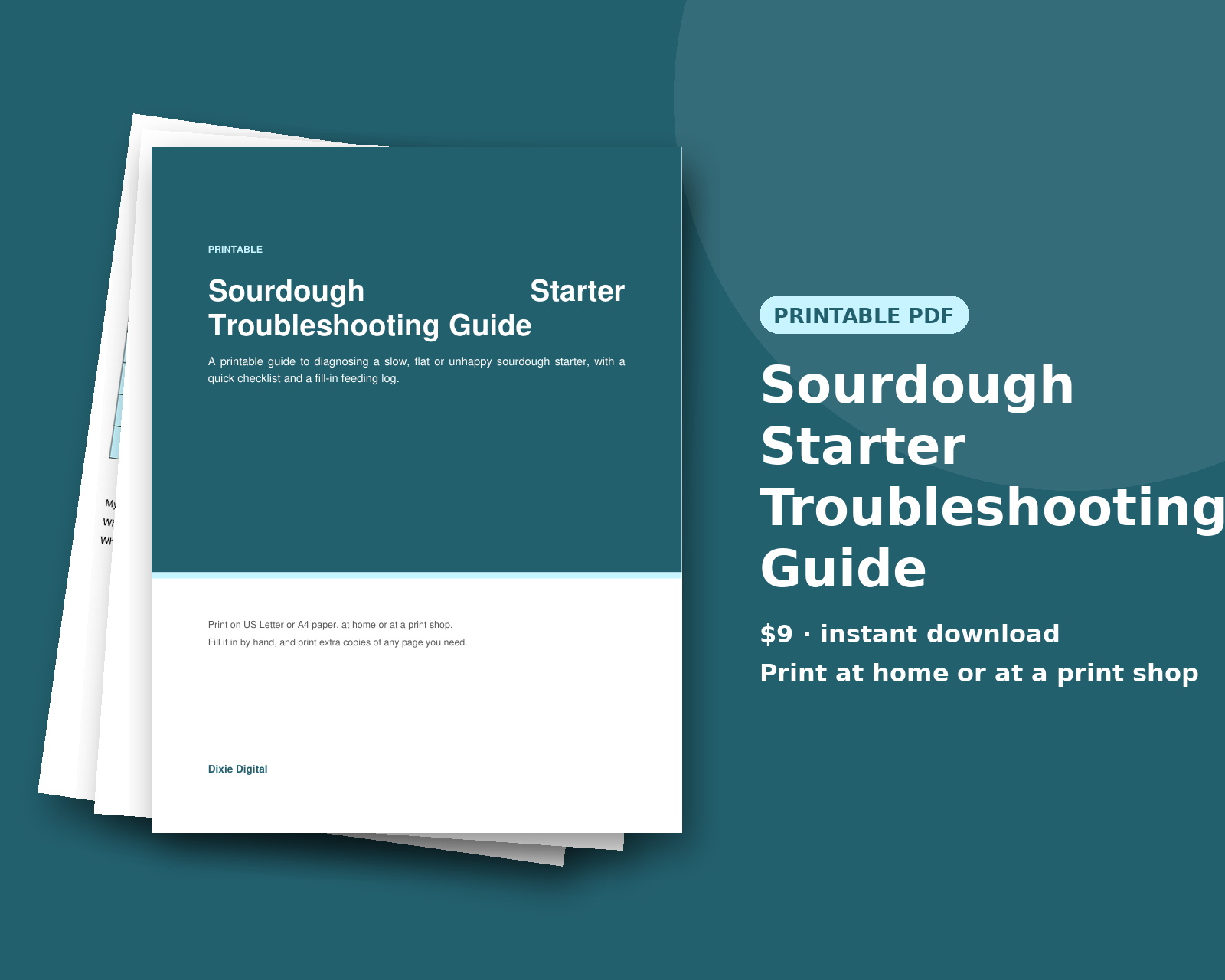 Sourdough Starter Troubleshooting Guide